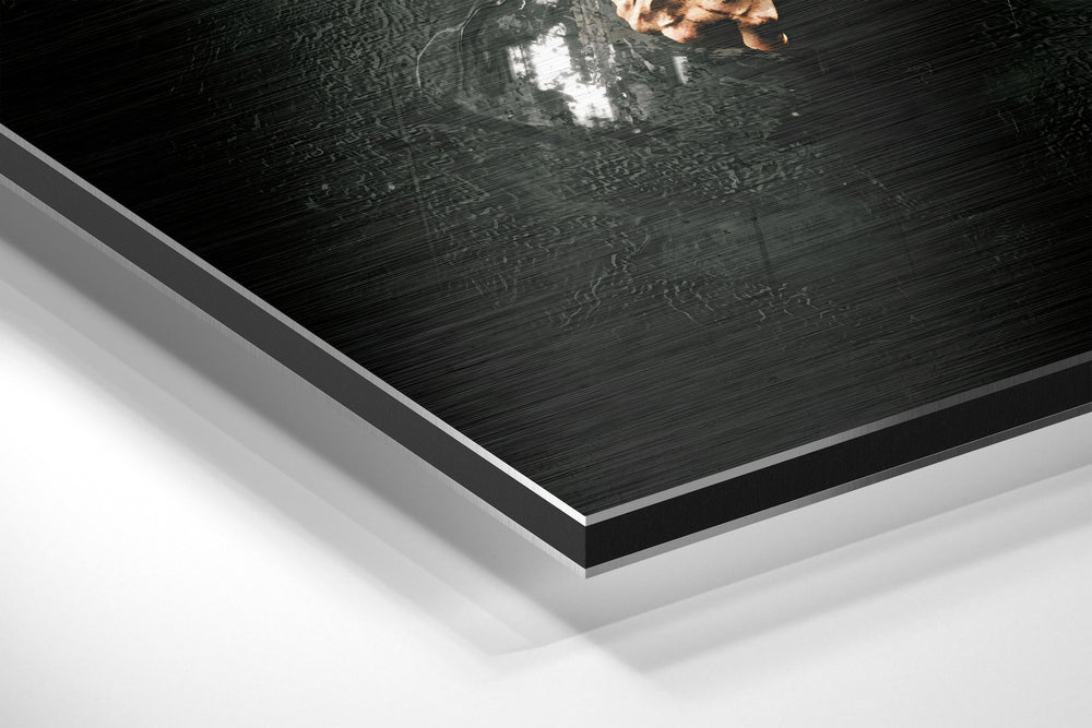 Ronaldo Brushed Aluminium Dibond Wall Art.