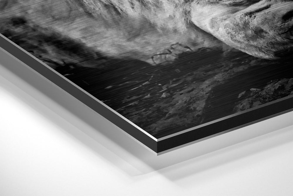 Lion Brushed Aluminium Dibond Wall Art.