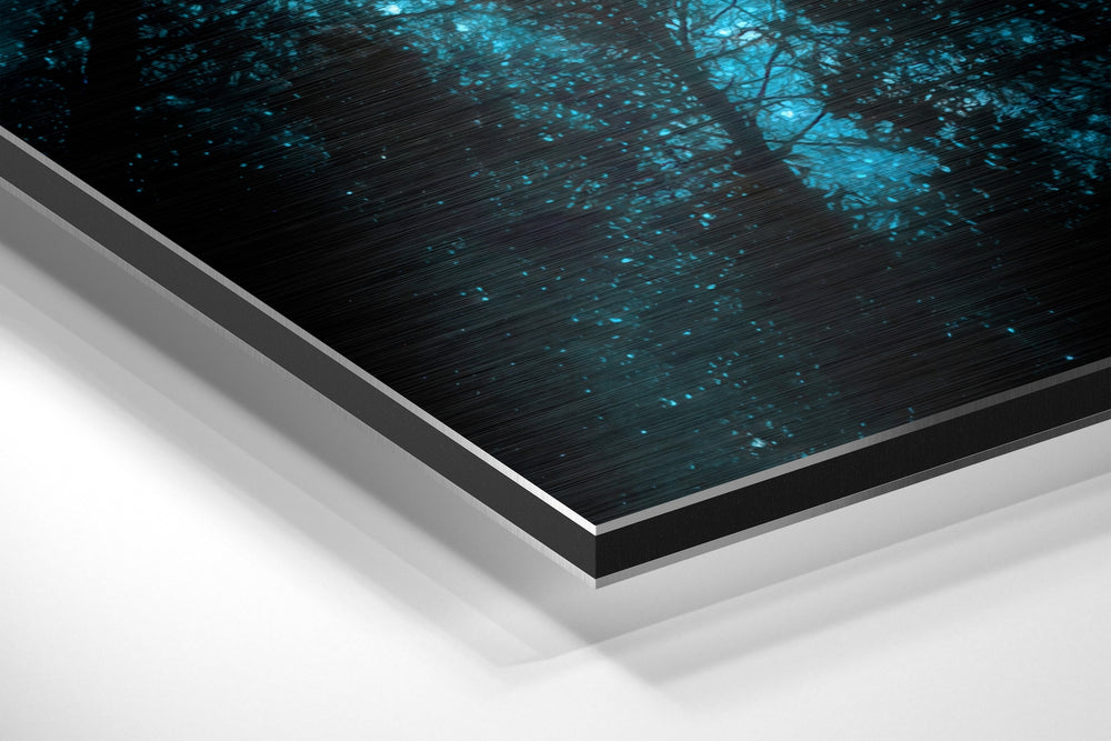 Never Stop Looking Up Brushed Aluminium Dibond Wall Art.