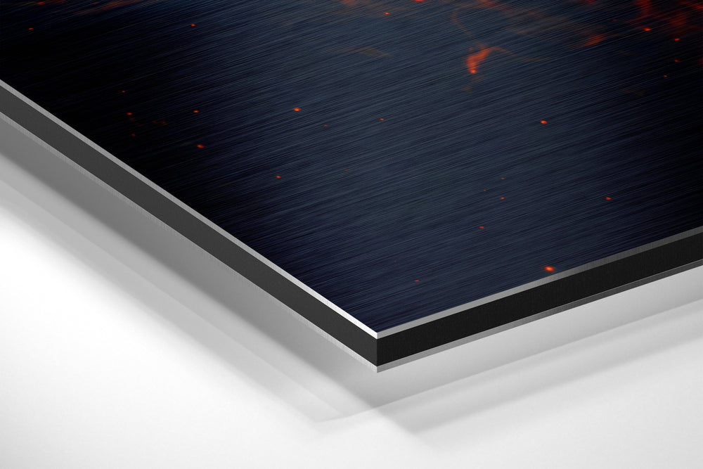 Fire Lion Brushed Aluminium Dibond Wall Art.