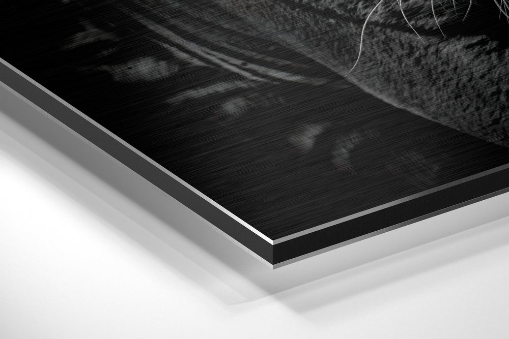 Eye of the Tiger Brushed Aluminium Dibond Wall Art.