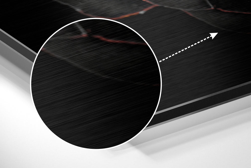 Blossom Brushed Aluminium Dibond Wall Art.