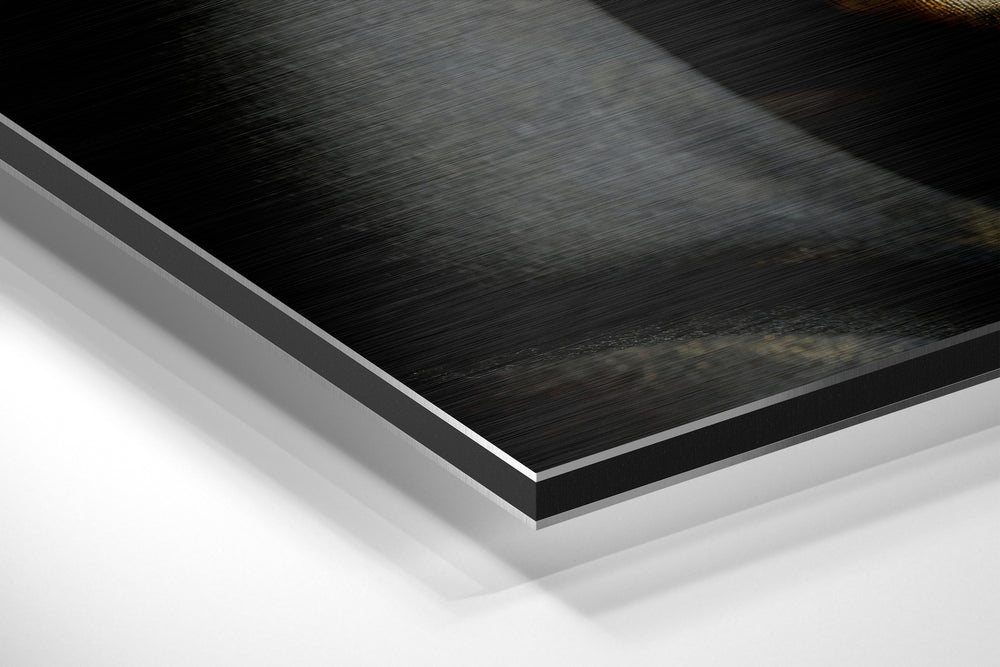 Sssh Brushed Aluminium Dibond Wall Art.