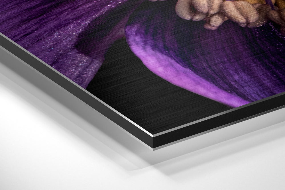 Micro Beauty Brushed Aluminium Dibond Wall Art.