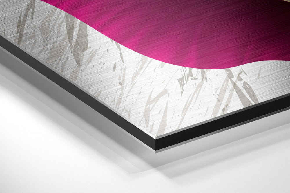 Feathers Brushed Aluminium Dibond Wall Art.