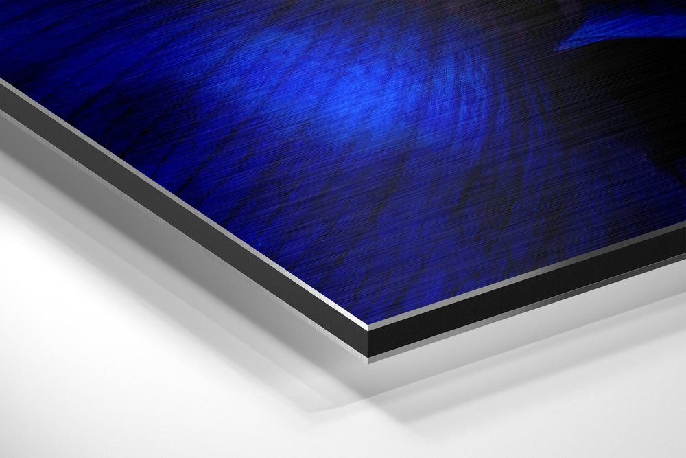 Micro Beauty Brushed Aluminium Dibond Wall Art.