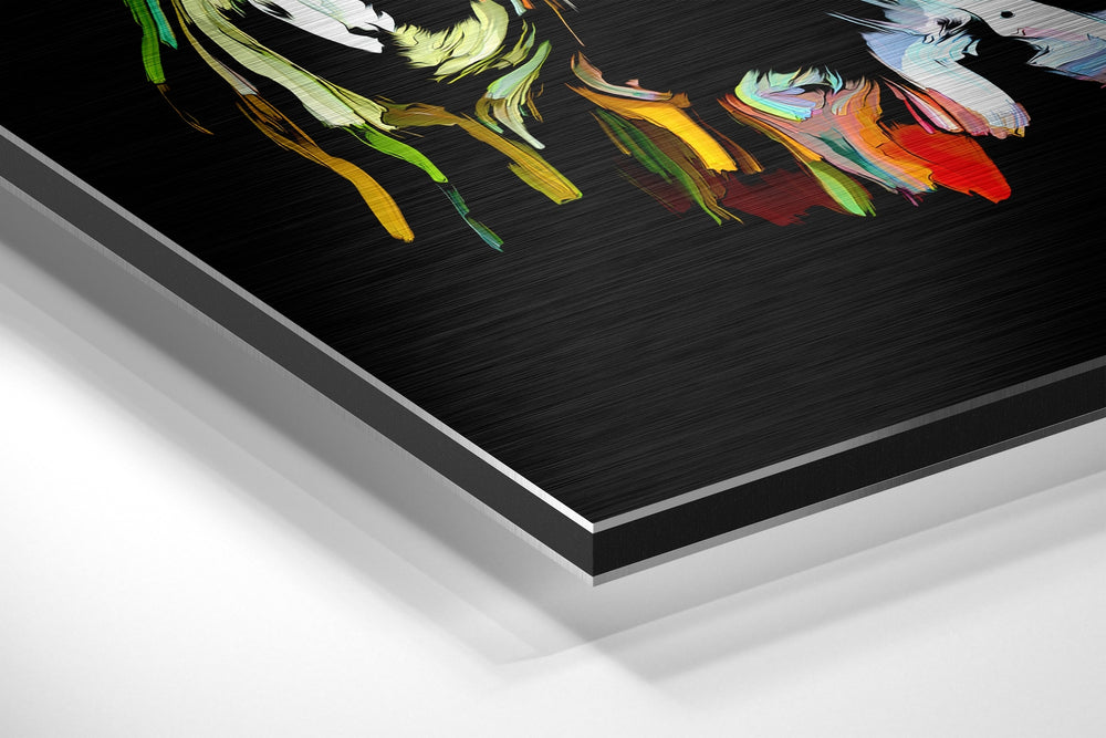 Colorful Feelings Brushed Aluminium Dibond Wall Art.