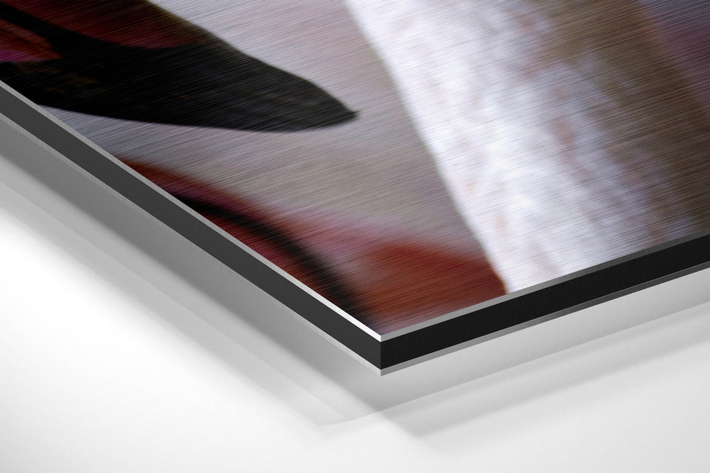 Flamingos Brushed Aluminium Dibond Wall Art.