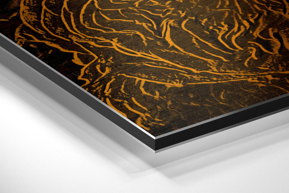 Abstract Roses Brushed Aluminium Dibond Wall Art.