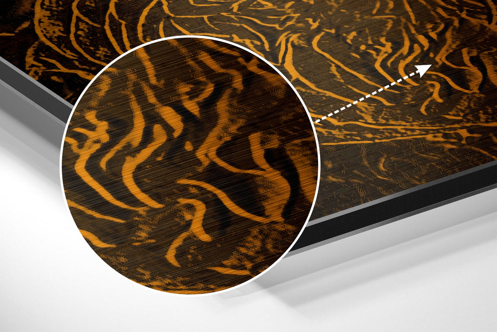 Abstract Roses Brushed Aluminium Dibond Wall Art.