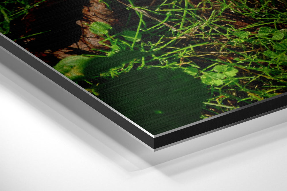Autumn Leaf Brushed Aluminium Dibond Wall Art.