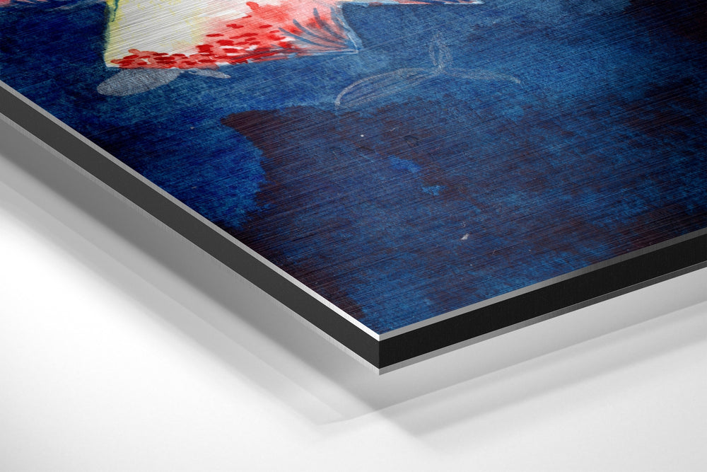 Fish Brushed Aluminium Dibond Wall Art.
