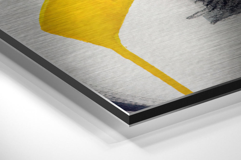 Sssh Brushed Aluminium Dibond Wall Art.