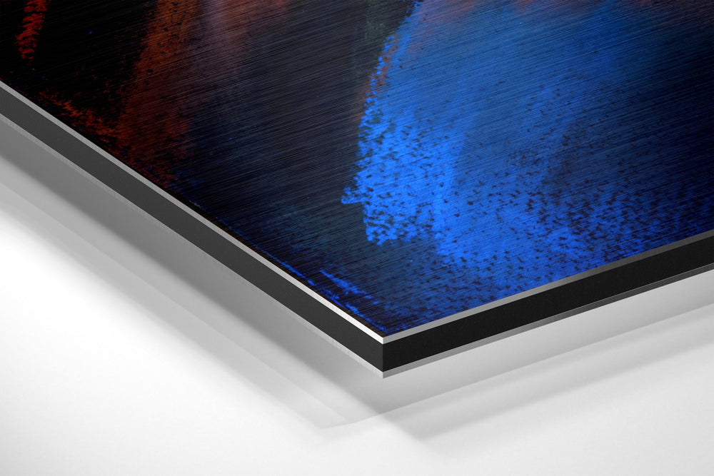 Horses in Love Brushed Aluminium Dibond Wall Art.