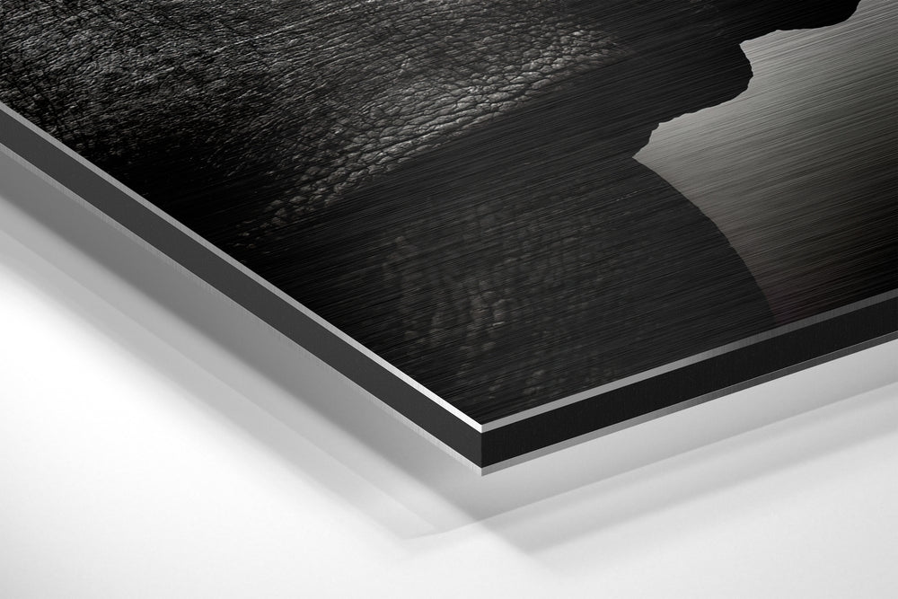 Rhino Brushed Aluminium Dibond Wall Art.