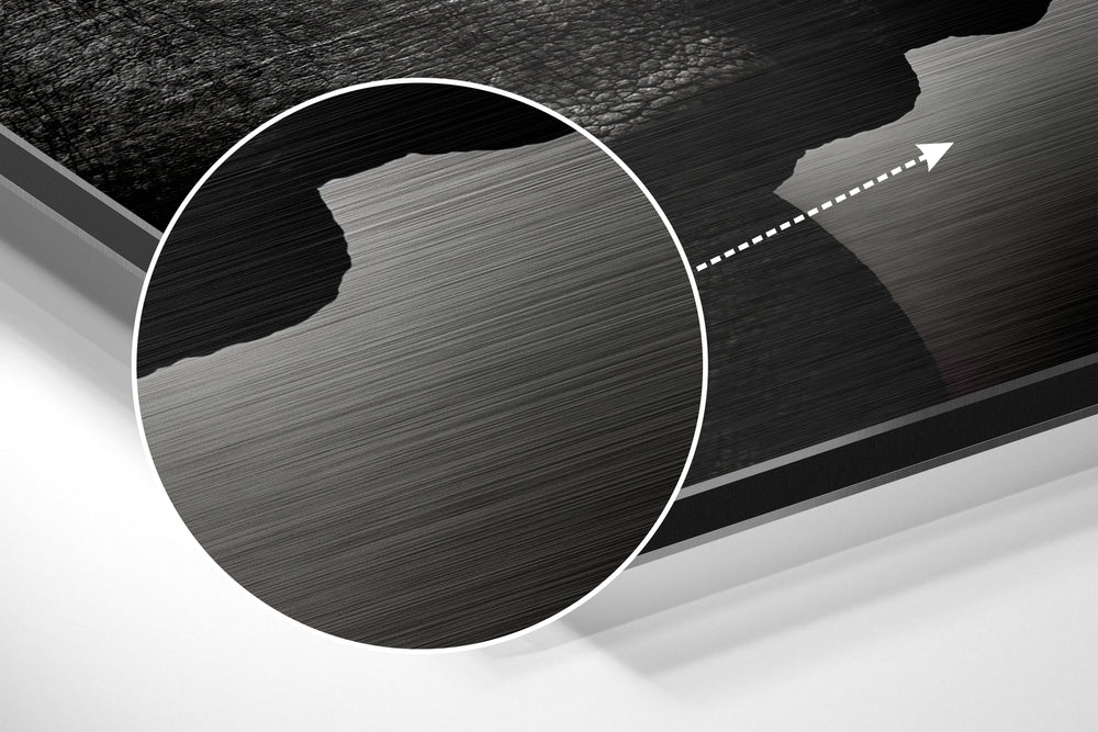 Rhino Brushed Aluminium Dibond Wall Art.