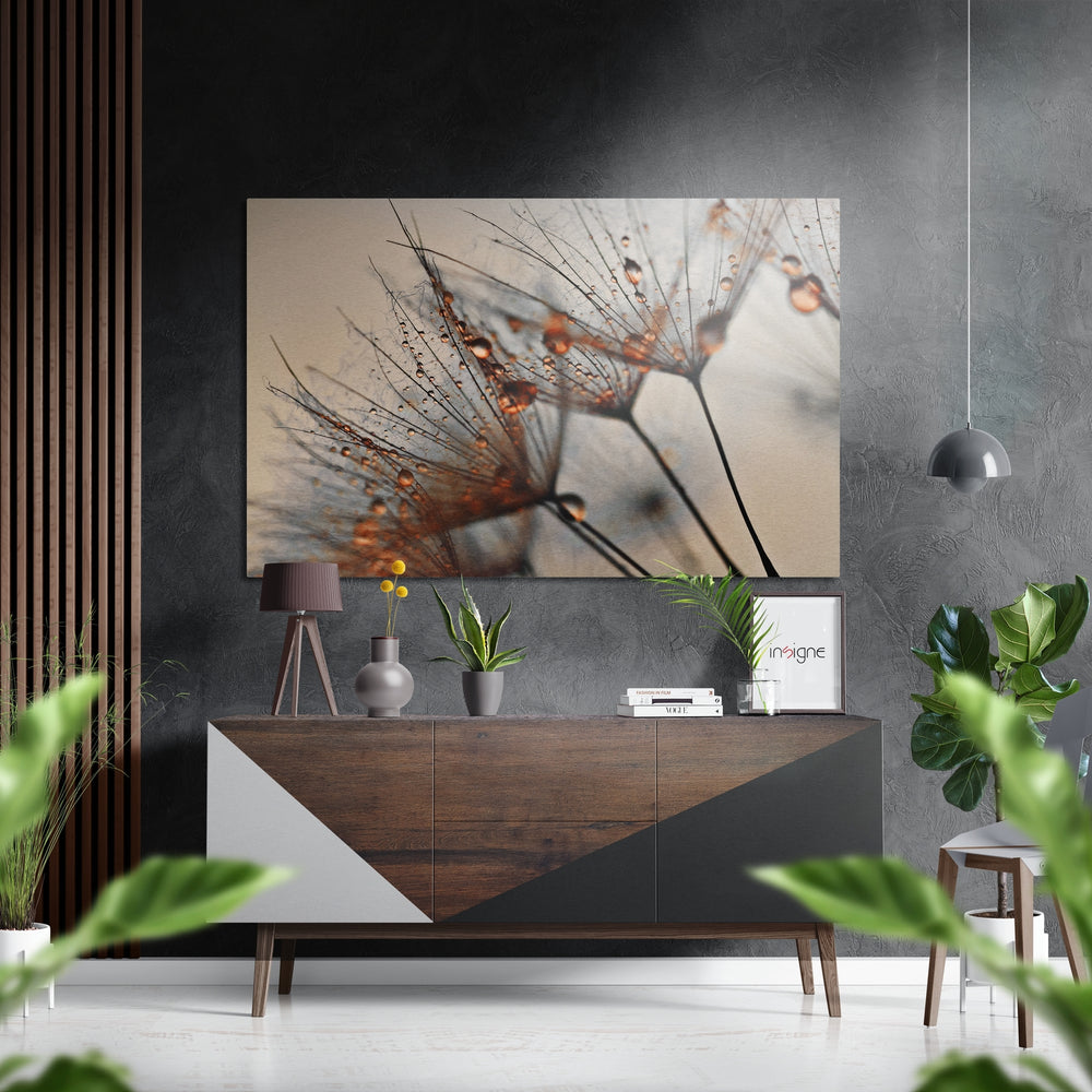 Dandelions Brushed Aluminium Dibond Wall Art.
