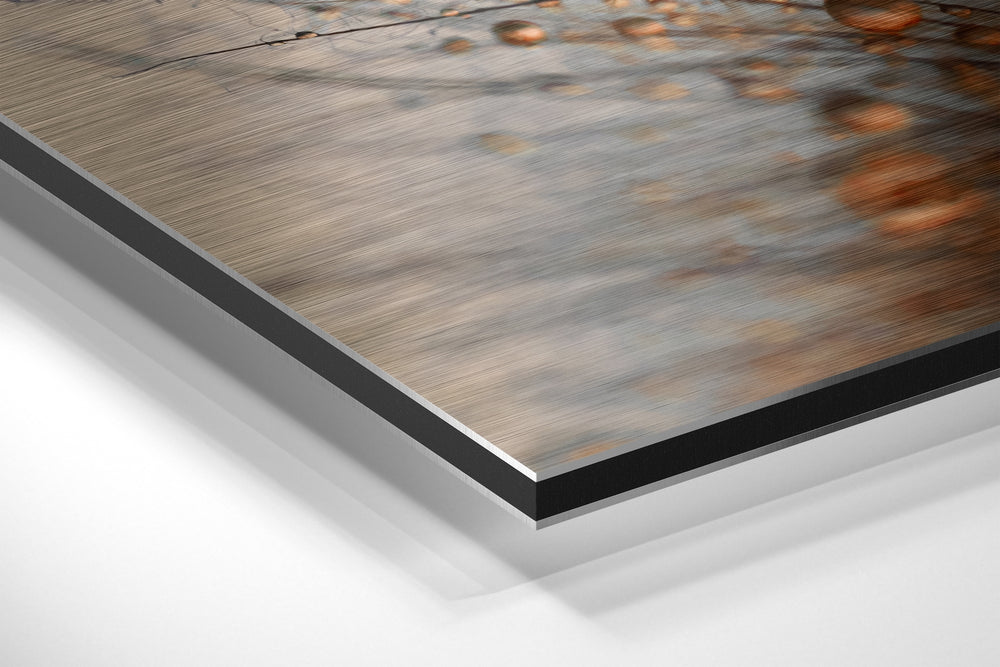 Dandelions Brushed Aluminium Dibond Wall Art.