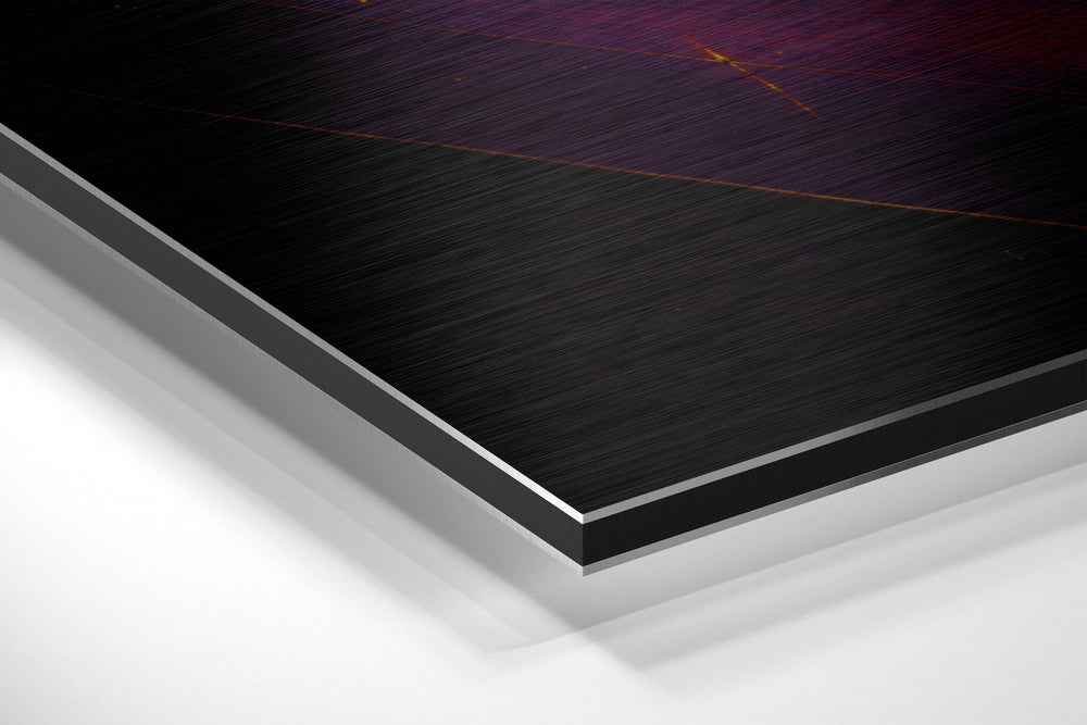 Leaf Brushed Aluminium Dibond Wall Art.