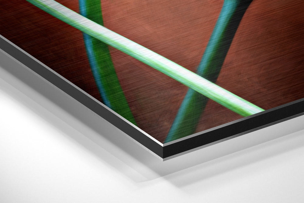 Lilly Brushed Aluminium Dibond Wall Art.