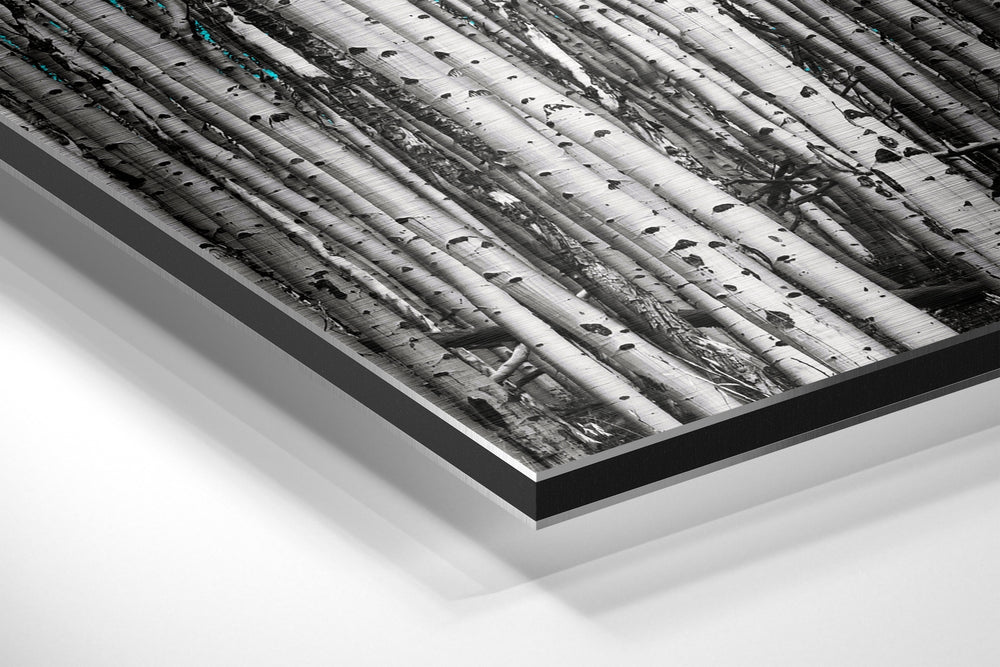 Forest Brushed Aluminium Dibond Wall Art.
