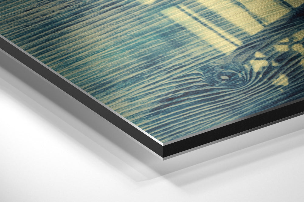 The Cage Brushed Aluminium Dibond Wall Art.