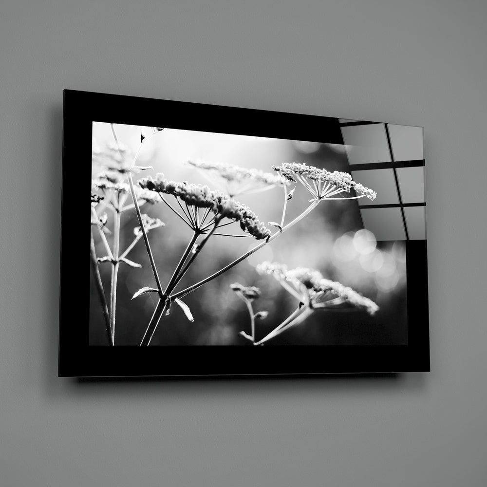 Editorial-photo panel bringing monochrome calm to a powder room