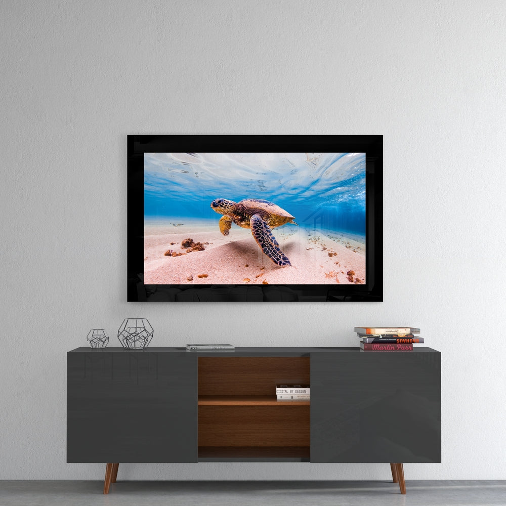 Turtle glass wall art styled above a console in a coastal cottage