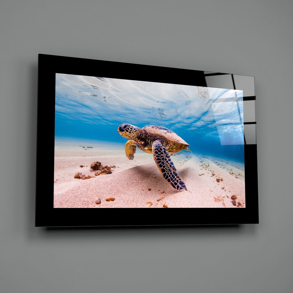 Editorial-photo panel bringing aquatic calm to a bathroom