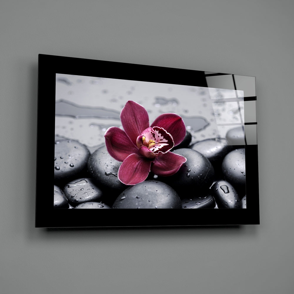 Editorial-photo panel bringing zen calm to a meditation room
