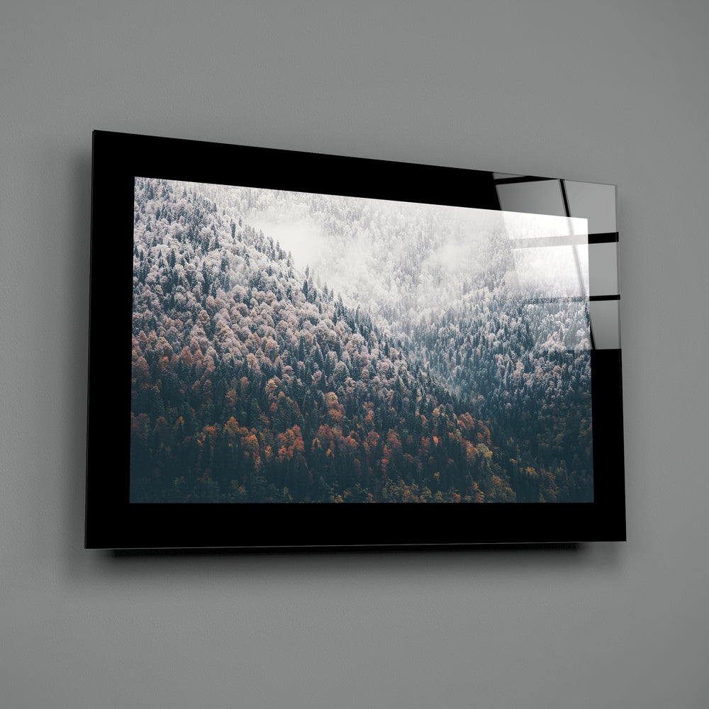 Editorial-photo panel bringing woodland calm to a meditation room