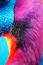 Eklektik Flamingo — Haptik 3D Kabartmalı Baskı