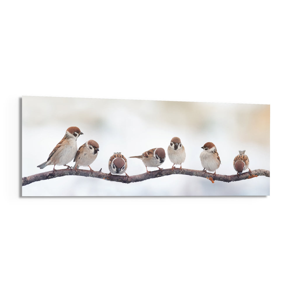 Seven Sparrows On A Bare Branch Glass Wall Art lifestyle preview F