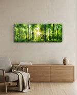 Sunburst Through Green Beech Forest Glass Wall Art lifestyle preview A