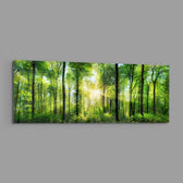 Sunburst Through Green Beech Forest Glass Wall Art lifestyle preview E
