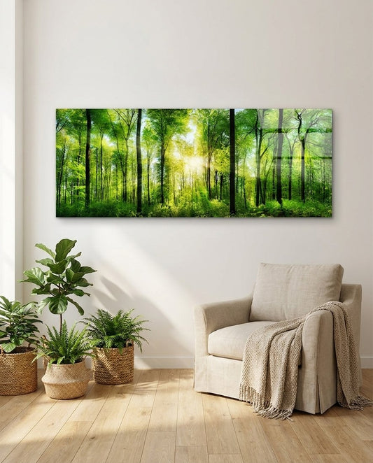 Sunburst Through Green Beech Forest Glass Wall Art
