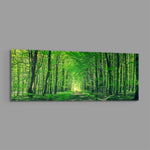 Leafy Tunnel Woodland Path Glass Wall Art lifestyle preview E