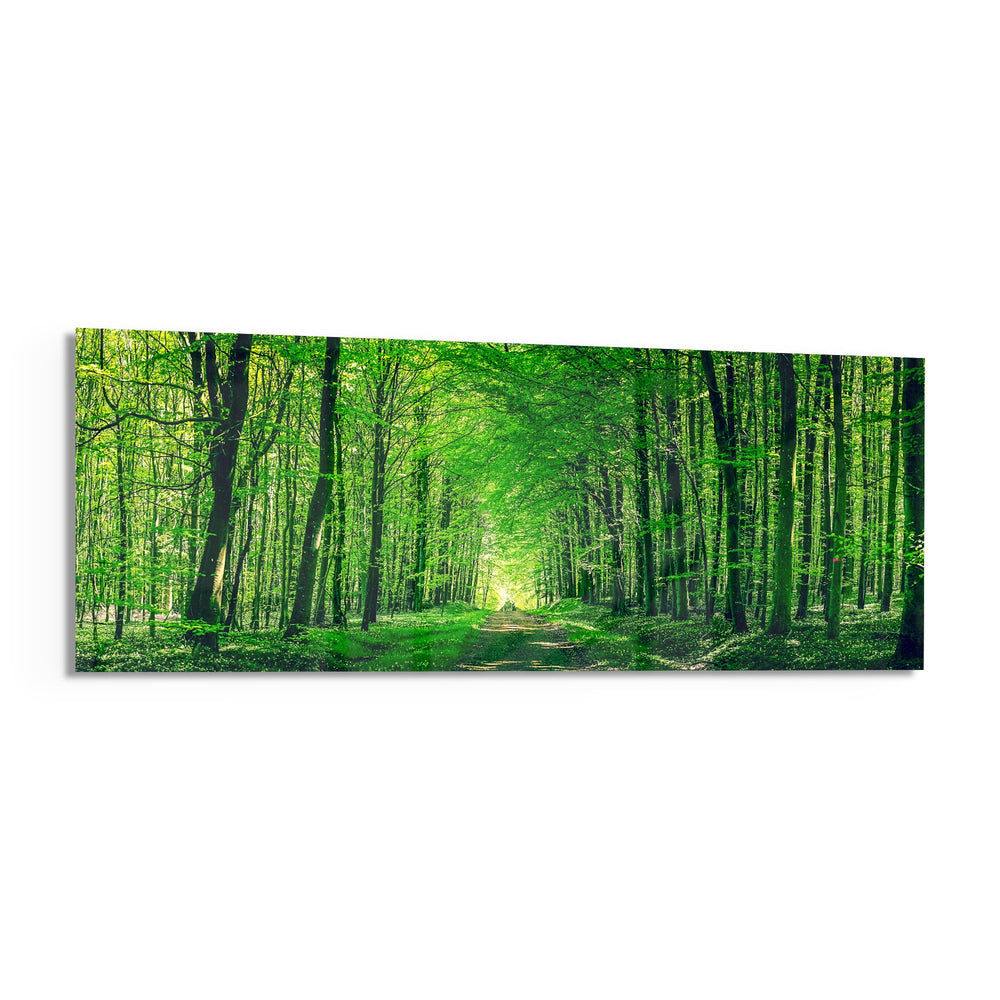 Leafy Tunnel Woodland Path Glass Wall Art lifestyle preview F