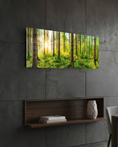 Starburst Sun Mossy Pine Forest Glass Wall Art lifestyle preview B