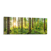 Starburst Sun Mossy Pine Forest Glass Wall Art lifestyle preview F