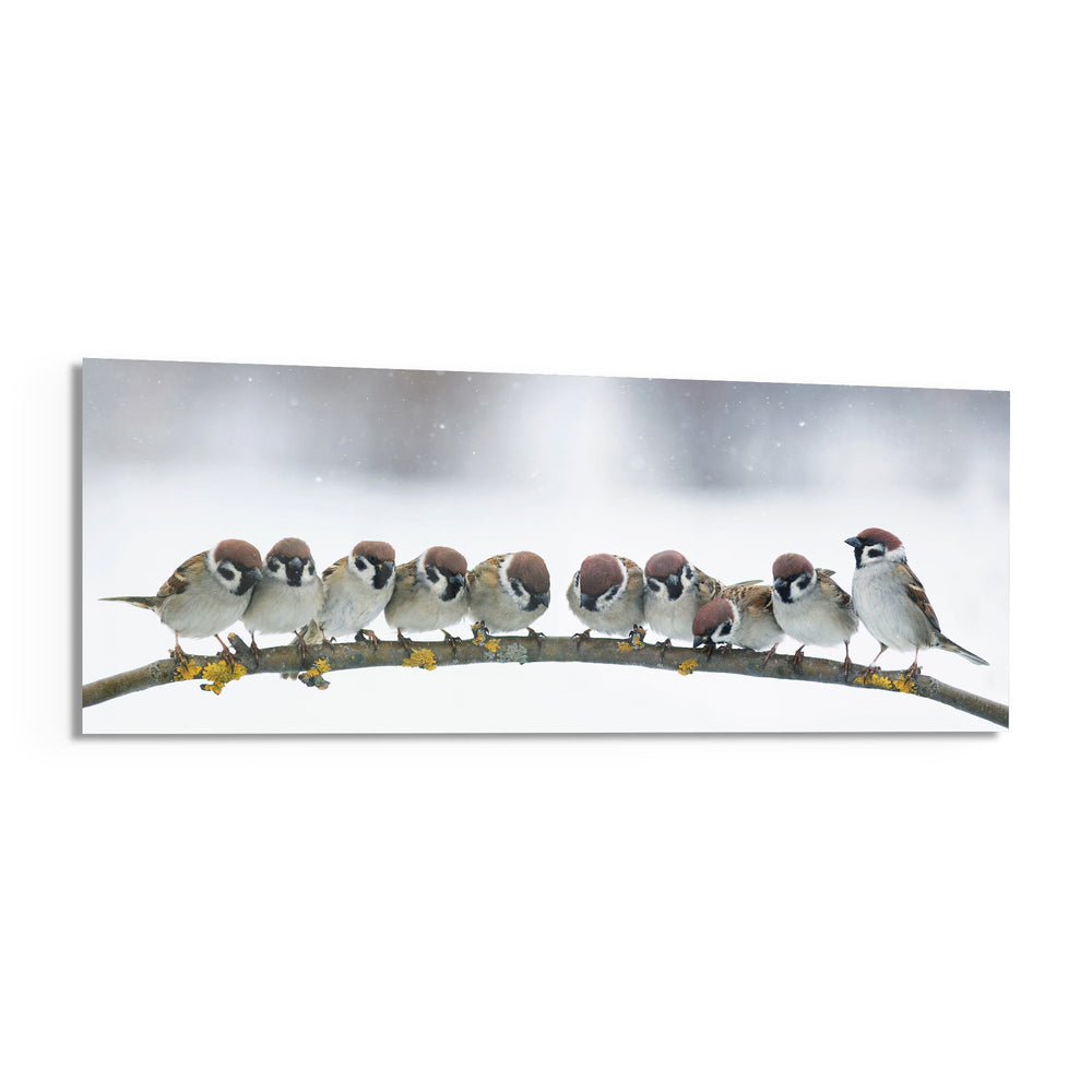 Snowy Sparrow Flock Lichen Branch Glass Wall Art lifestyle preview F