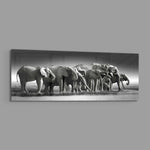 A herd of African elephants gathered at a waterline in soft black and white. panoramic glass wall art E