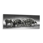 A herd of African elephants gathered at a waterline in soft black and white. panoramic glass wall art F