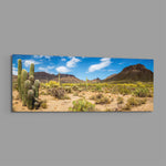 Sun-drenched Sonoran desert panorama with towering saguaro cacti, scrub and rugged mountains under a bright blue sky dotted with puffy clouds. panoramic glass wall art E