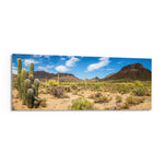 Sun-drenched Sonoran desert panorama with towering saguaro cacti, scrub and rugged mountains under a bright blue sky dotted with puffy clouds. panoramic glass wall art F