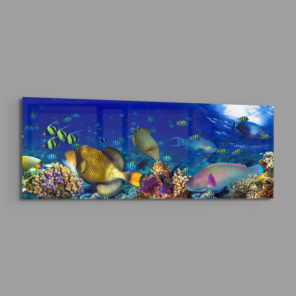 Vivid underwater panorama of a tropical coral reef alive with colorful fish, sunlight rippling through deep blue water. panoramic glass wall art E