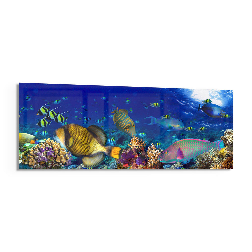 Vivid underwater panorama of a tropical coral reef alive with colorful fish, sunlight rippling through deep blue water. panoramic glass wall art F