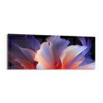 A macro abstract flower with flowing violet, blue and coral-pink petals opening against a deep black background panoramic glass wall art F