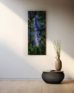 Upward view through towering forest trees to a glowing Milky Way in a star-filled sky. panoramic glass wall art A