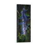 Upward view through towering forest trees to a glowing Milky Way in a star-filled sky. panoramic glass wall art D